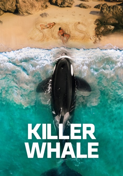 Фильмы онлайн